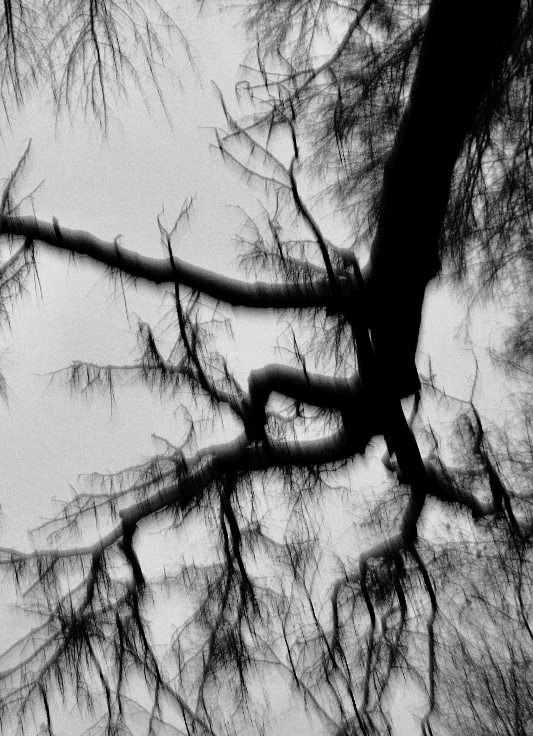 Mouvement 11 © PGC