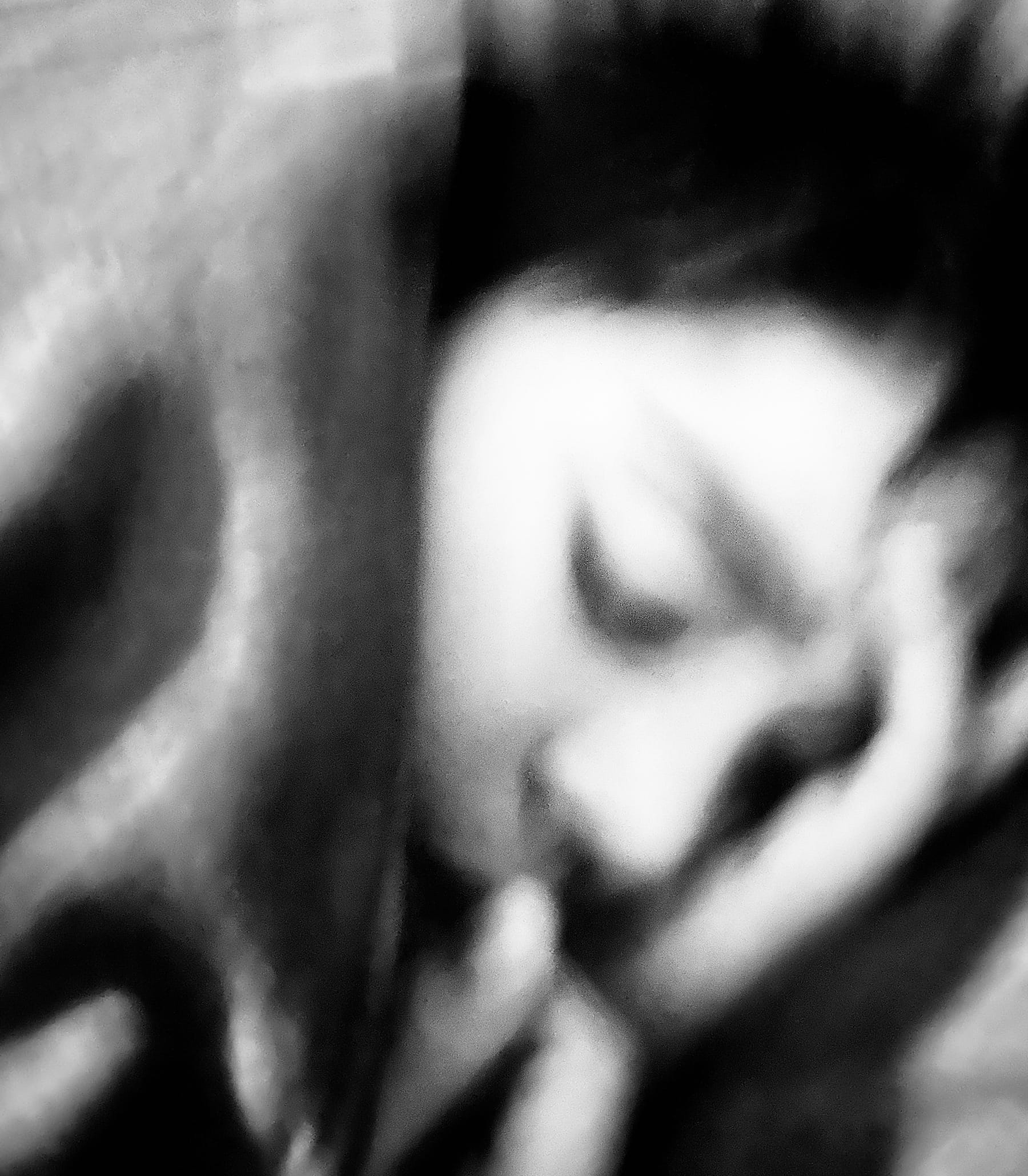 Mouvement 5 © PGC