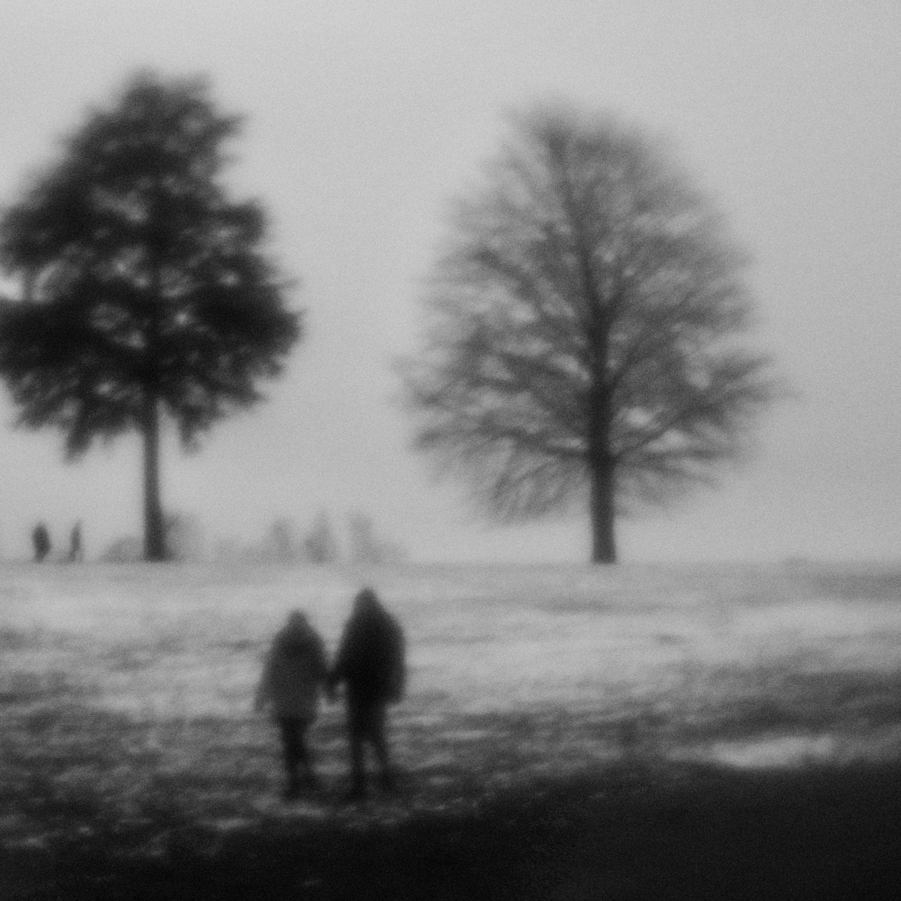 Mouvement 7 © PGC