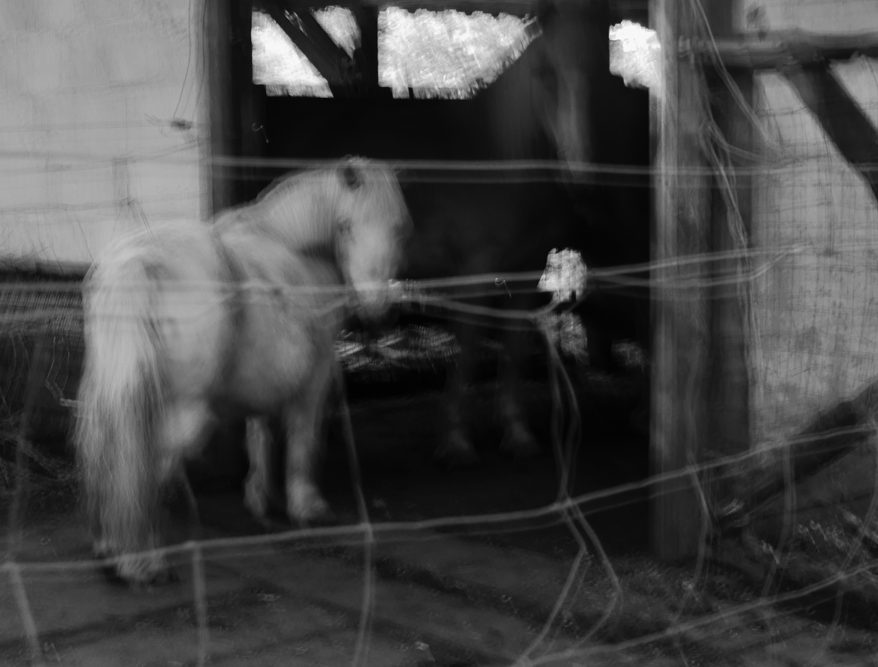 Mouvement 9 © PGC