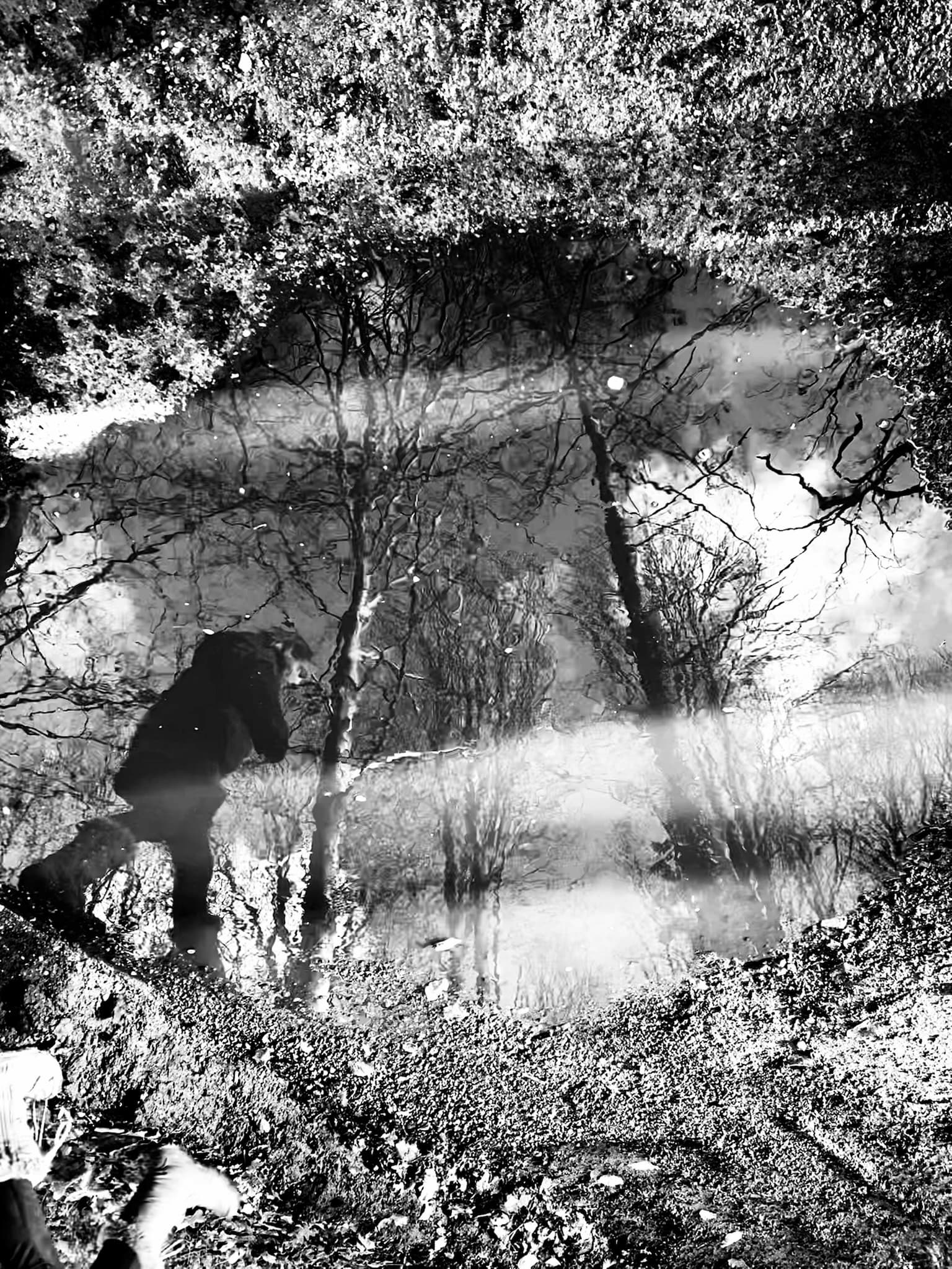 Passages 15 © PGC