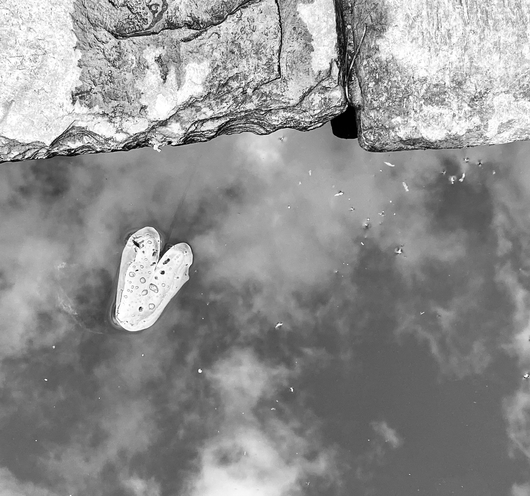 Passages 5 © PGC