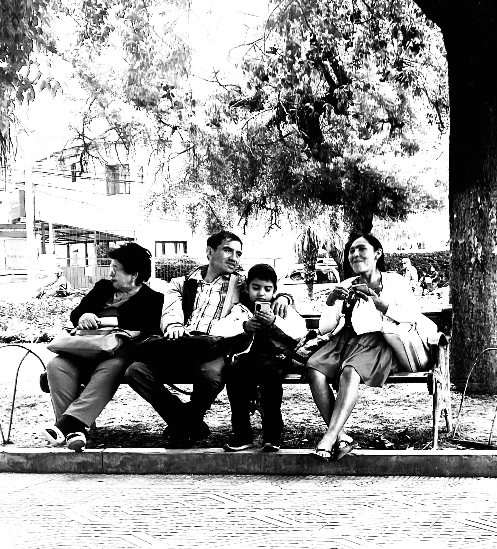 Racines 11 © PGC